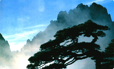 Mt.Huangshan Odd-shapen pines.jpg