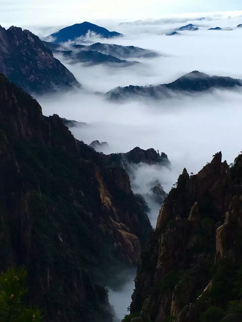 2016年4月7日，雨后黄山西海大峡谷云海 摄影：王瑞华.jpg